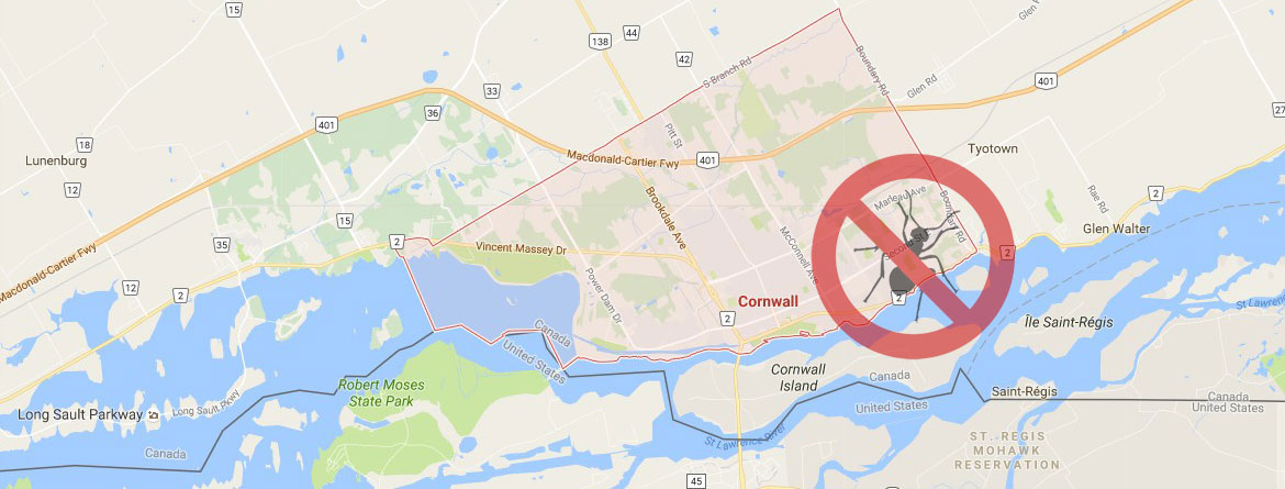 pest control Corwall, ontario